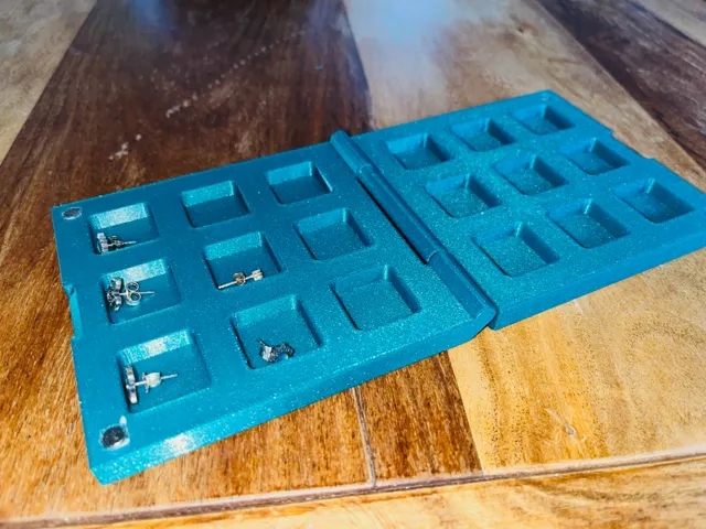 Jewelry case for earrings (print in place)