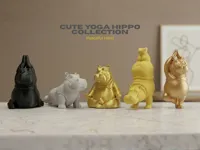 Cute Yoga Hippo Collection -All Set