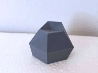 Runescape Pet Rock