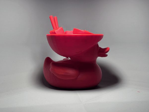 https://makerworld.bblmw.com/makerworld/model/US11c21b536e5dba/design/2025-05-17_5888f5b534a348.gif
