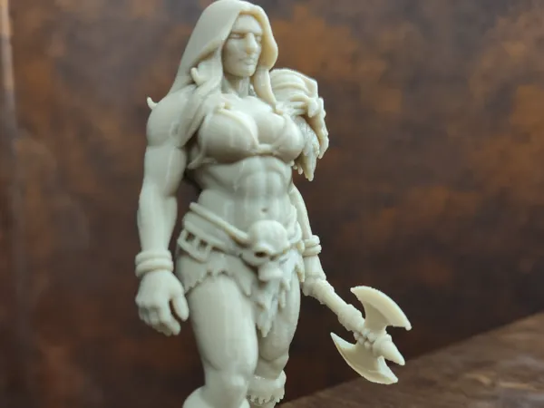 https://makerworld.bblmw.com/makerworld/model/US11c652def62661/design/2025-05-11_fb071a8326c7d8.jpg