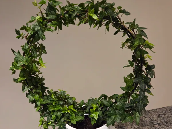 https://makerworld.bblmw.com/makerworld/model/US11c707443af42d/design/2025-12-30_46fd666f7dea8.jpg