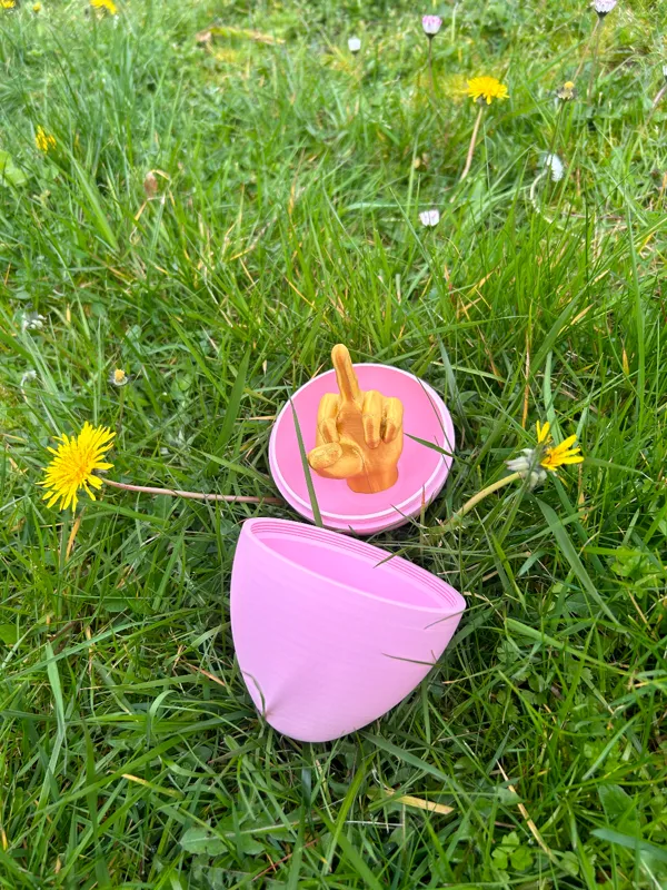https://makerworld.bblmw.com/makerworld/model/US11c77ddb148c2c/design/2024-03-12_51d9ff6a325db8.png