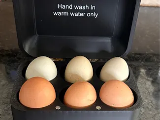 Large magnetic egg carton