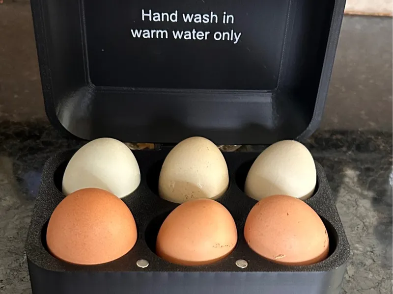 Large magnetic egg carton