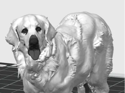 Cute multicolored decorative dog (AMS)