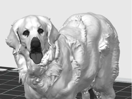 Cute multicolored decorative dog (AMS)