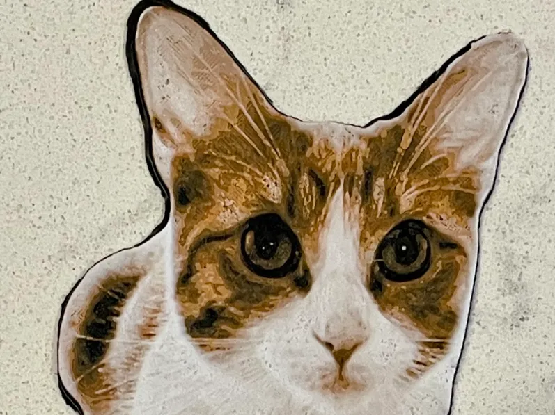 Cat bookmark