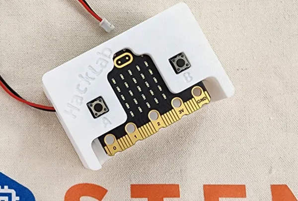 https://makerworld.bblmw.com/makerworld/model/US11d557770112c8/design/2024-09-23_b268b2930024a.jpg
