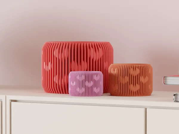 https://makerworld.bblmw.com/makerworld/model/US11dad3d460176f/design/2025-01-24_764c2391a116a.png