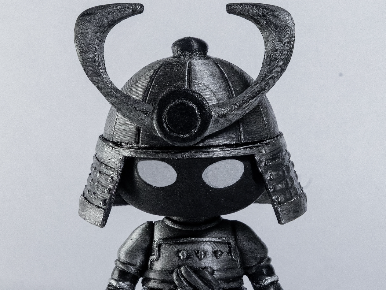 Samurai Warrior 