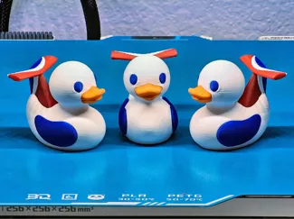 Carnival Cruise Duck