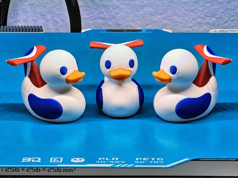 Carnival Cruise Duck