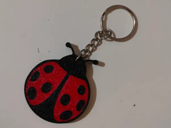 https://makerworld.bblmw.com/makerworld/model/US11e4db4b8061f6/design/2024-11-21_3e9905f4a0383.jpg
