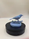 Single Color - 0.2mm layer, 3 walls, 15% infill