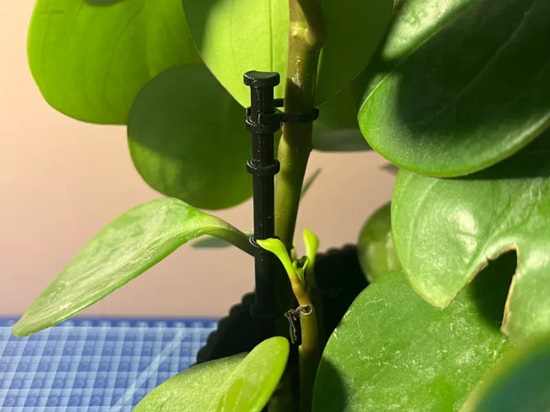 Plant support clip & stick