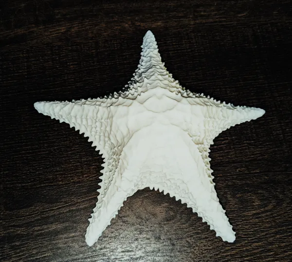 https://makerworld.bblmw.com/makerworld/model/US11ef7964fb2379/design/2024-04-30_911fff9377ce3.jpg