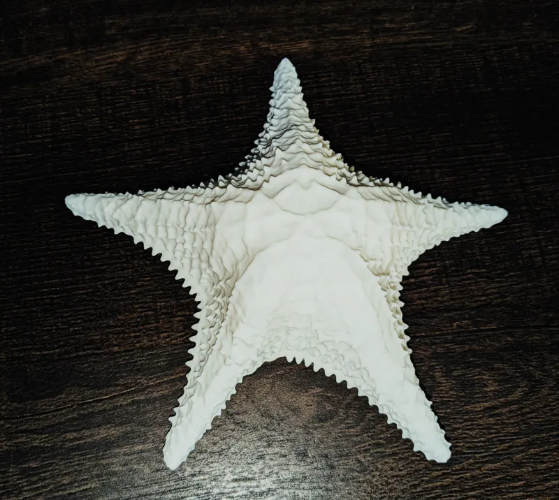 Starfish - 3D scan