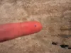 Indescribable Value ( World's Smallest Thing )