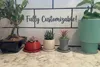 Small Planter Trio with drip tray