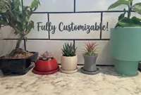 Small Planter Trio with drip tray