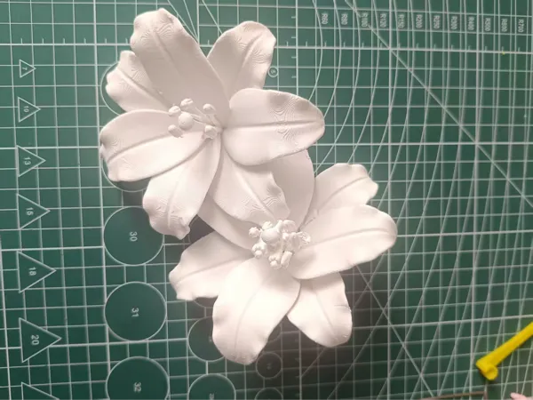 https://makerworld.bblmw.com/makerworld/model/US12036c6d84d691/design/2025-08-04_f57f260f22e288.jpg