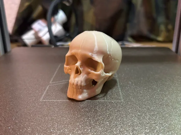 https://makerworld.bblmw.com/makerworld/model/US1203ebb2601d6d/design/2025-03-25_ae89c455928c7.jpg