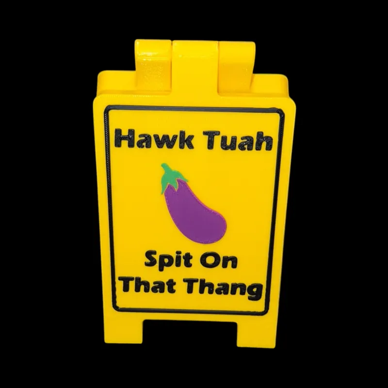 Hawk Tuah Funny Desk Sign