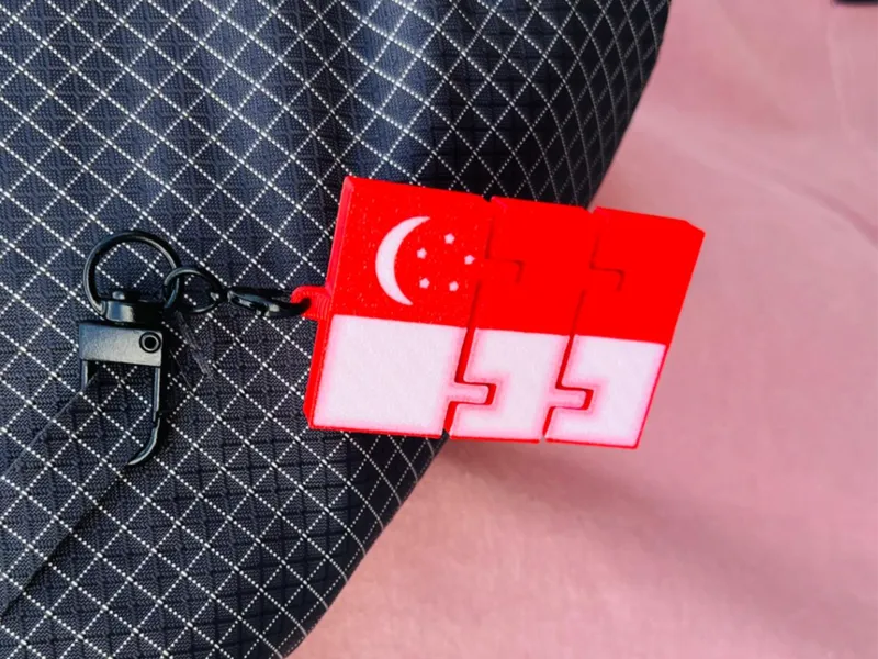Flexi Singapore Flag with keychain holder