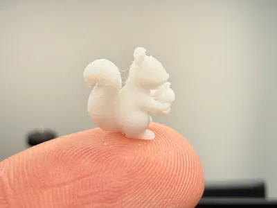 Smallest squirrel in the world with a nut (N 0.4)