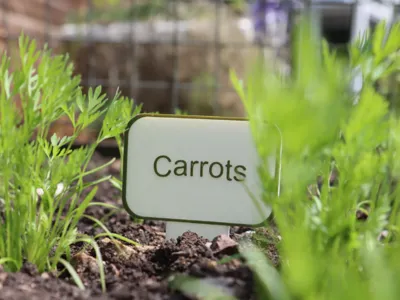 Garden Labels
