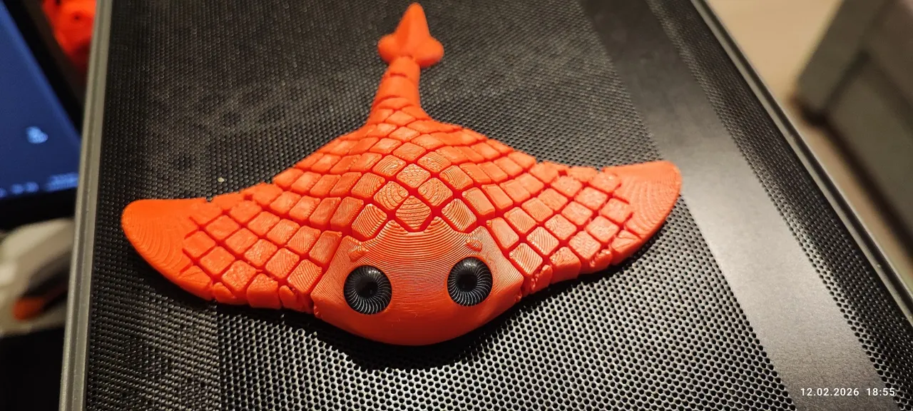 Flexi Manta Ray | Print in Place – NO SUPPORT view 2