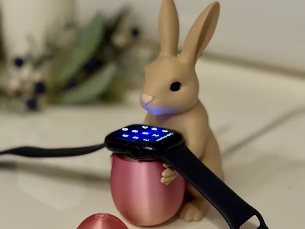 https://makerworld.bblmw.com/makerworld/model/US1218d5514a1591/design/2025-04-03_ab5f88207d76d8.jpg