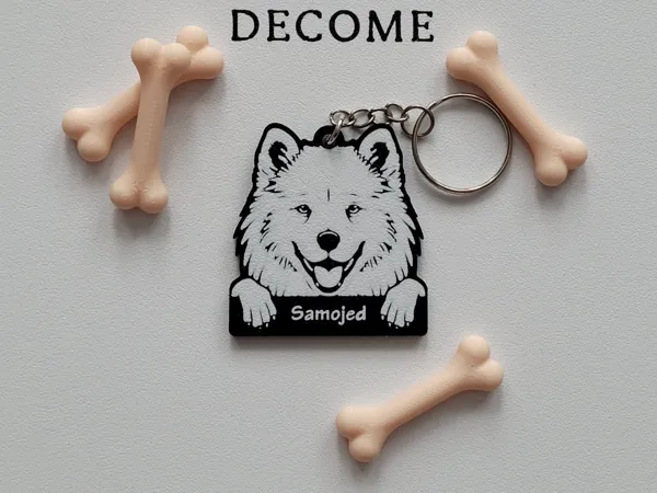 https://makerworld.bblmw.com/makerworld/model/US1219504bafdb28/design/2025-05-27_cd5497c4ddfef8.jpg