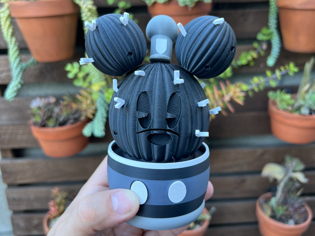 Steamboat Willie version aka Mickey Mouse Cactus