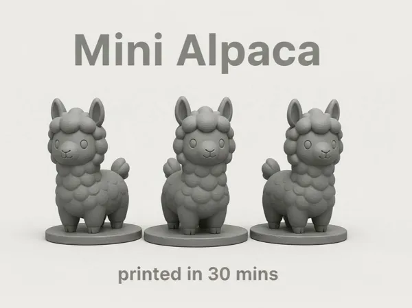 https://makerworld.bblmw.com/makerworld/model/US121c329d83b0c2/design/2025-11-20_62b035a964a818.jpg