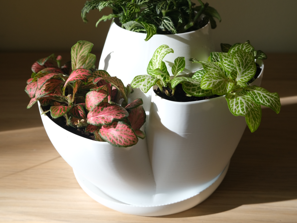 Coral Modular Planter with Drainage Tray