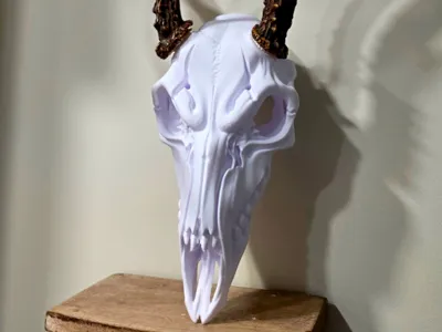 The Joker - BAS Deer Skull Antler Mount