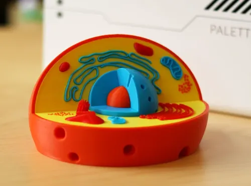 Cell Model Multipiece - Free 3D Print Model - MakerWorld