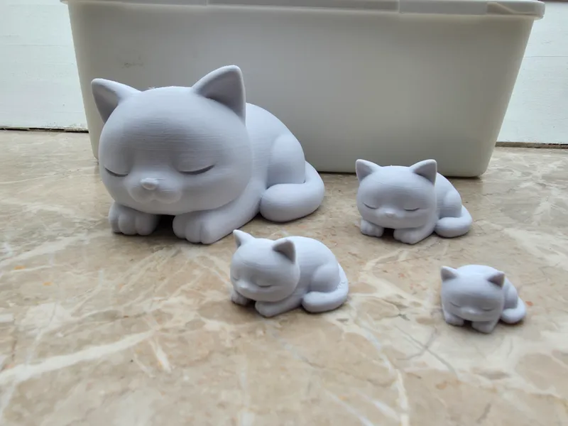 Sleeping Cute Cat