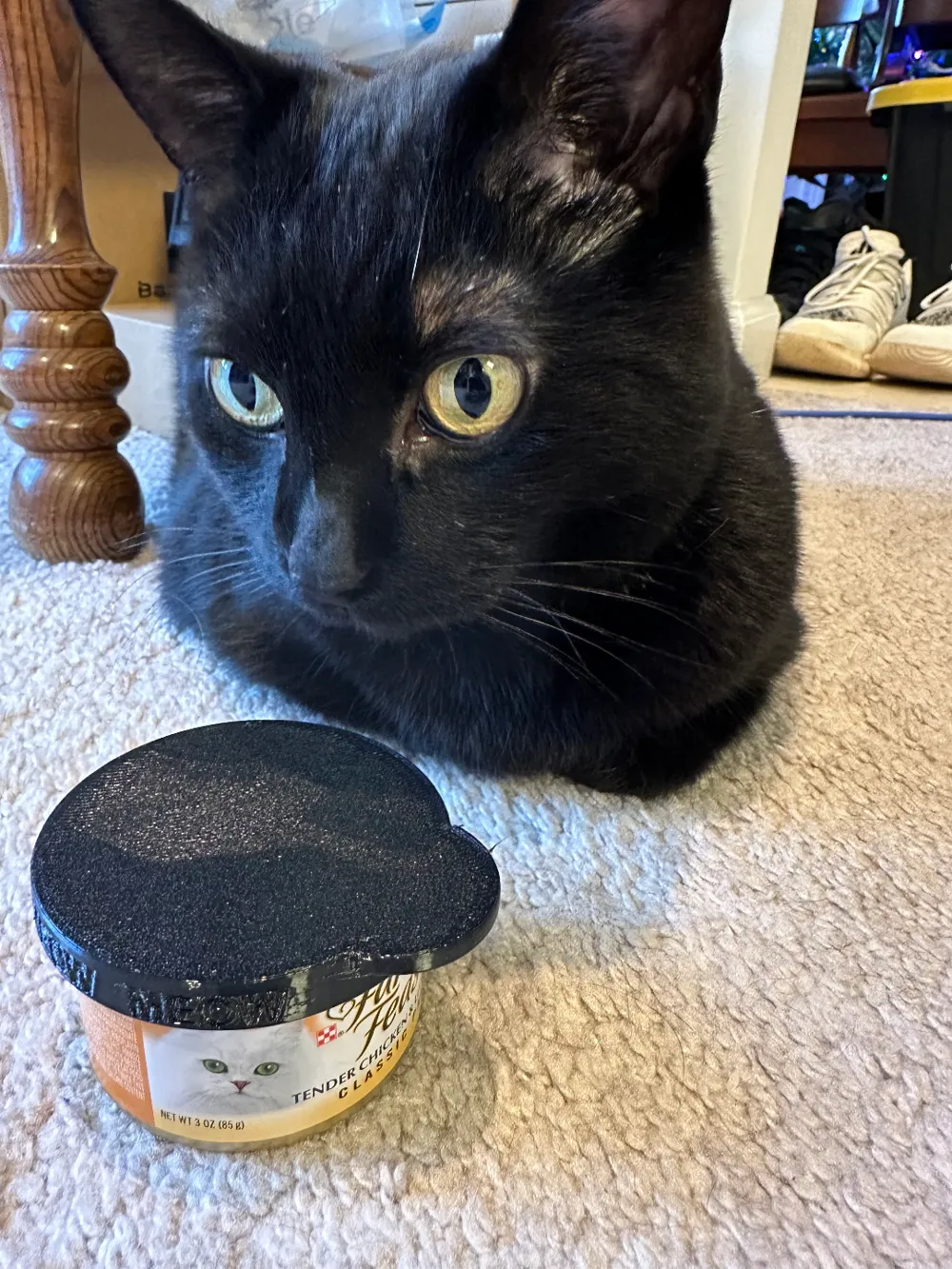 Cat Food Lid Small cans by ald5096 MakerWorld