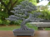 0.6mm layer, 2 walls, 16% infill