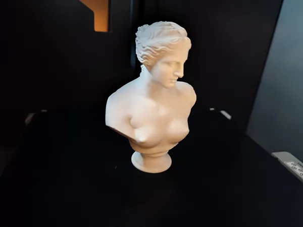 https://makerworld.bblmw.com/makerworld/model/US1238f4f559d68/design/2024-04-06_15a8b45b53c27.jpg