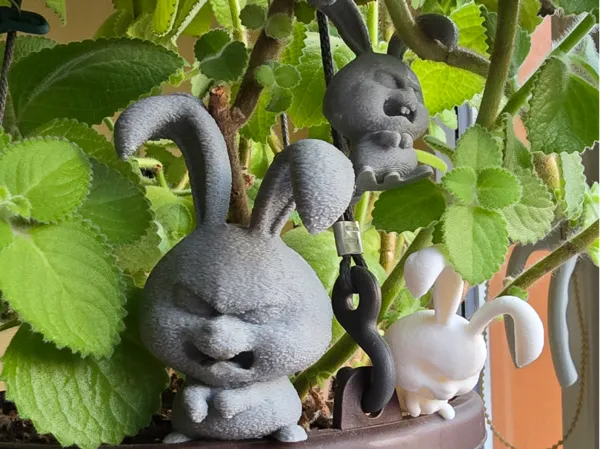 https://makerworld.bblmw.com/makerworld/model/US123c984c1b6575/design/2025-03-27_51c9ded07d696.jpg