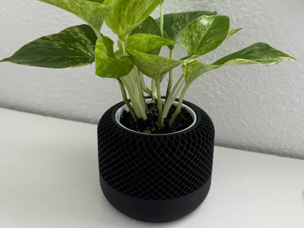 https://makerworld.bblmw.com/makerworld/model/US123ea9d7c29976/design/2024-07-07_741e84e79753a.jpg