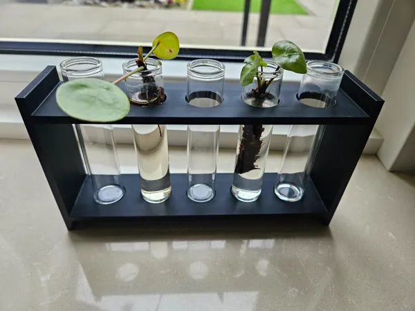 https://makerworld.bblmw.com/makerworld/model/US123fb65453e565/design/2024-04-15_ef5f5d2da17e5.jpg