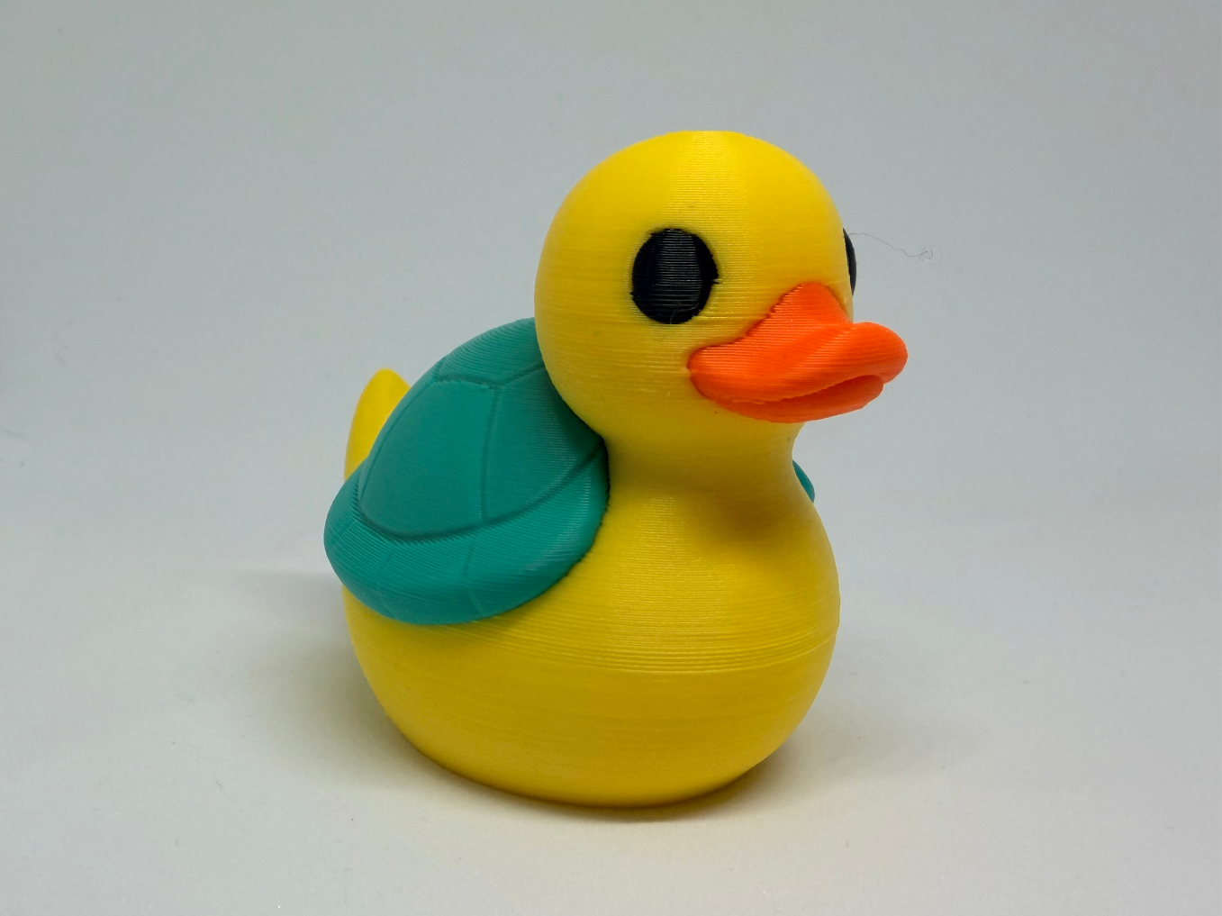 Turtle Duck