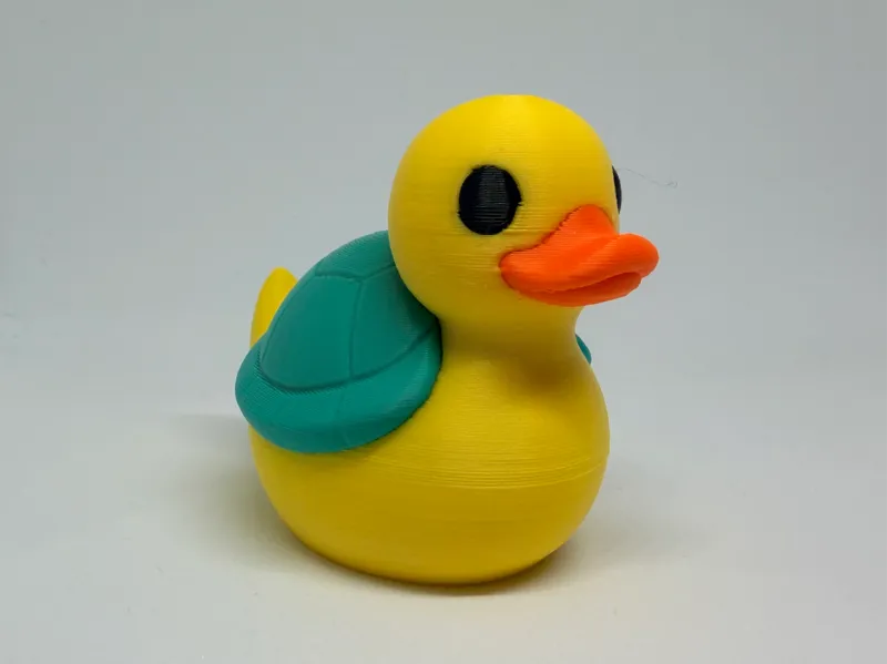 Turtle Duck
