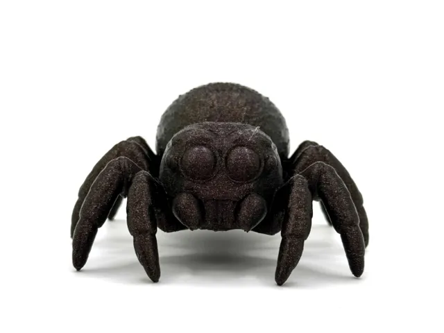 Cute Little Jumping Spider