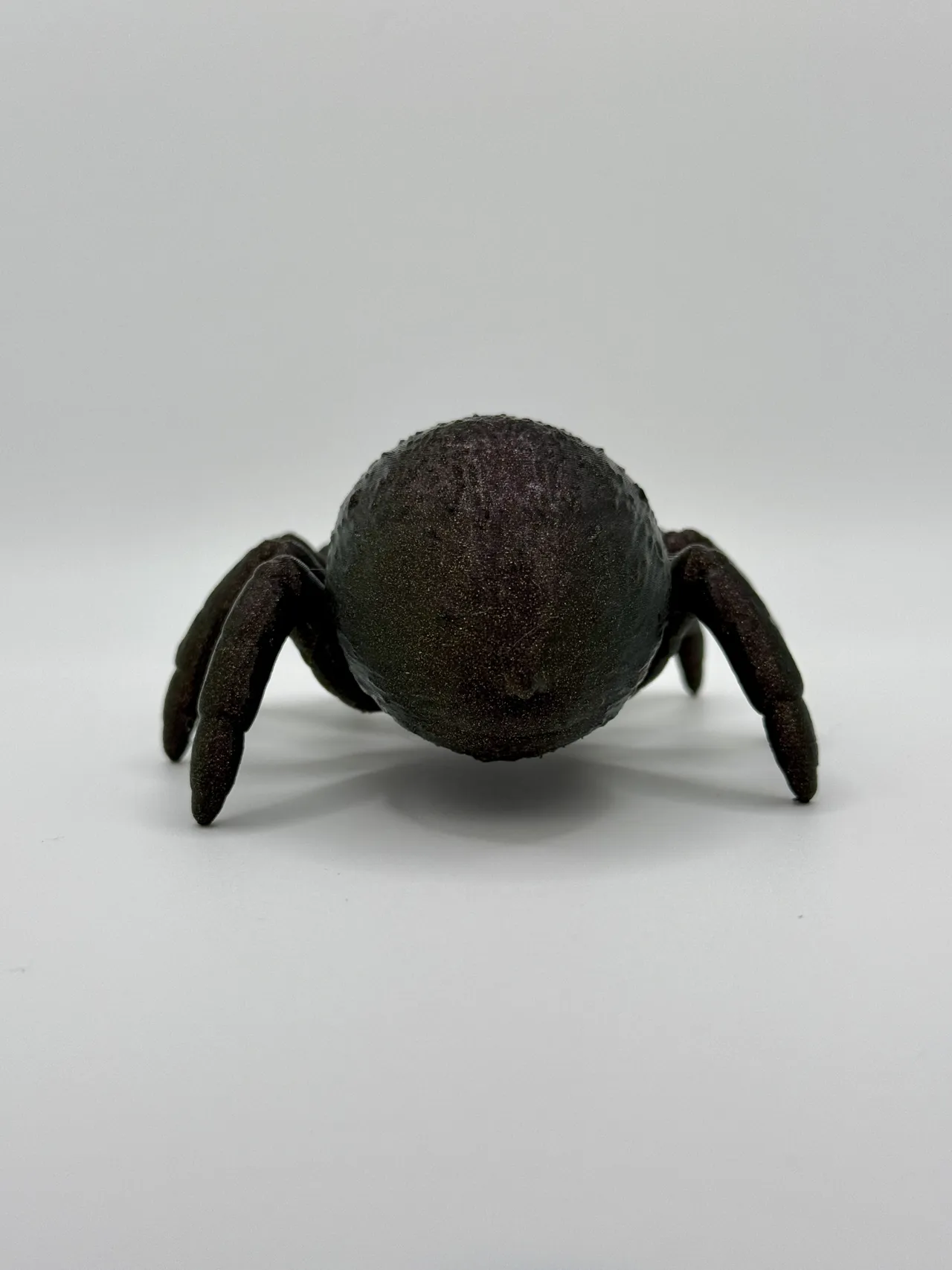 Cute Little Jumping Spider view 2